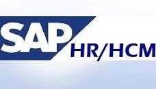 SAP HR Modülü Bordro ve İnsan Kaynakları Uzmanlık  Eğitimi